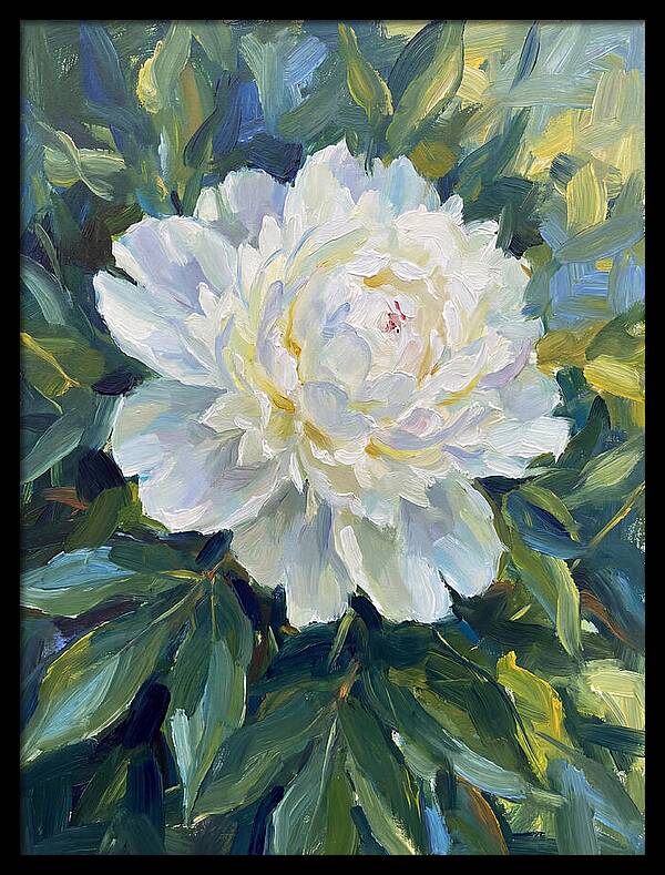 White Peony In Bloom