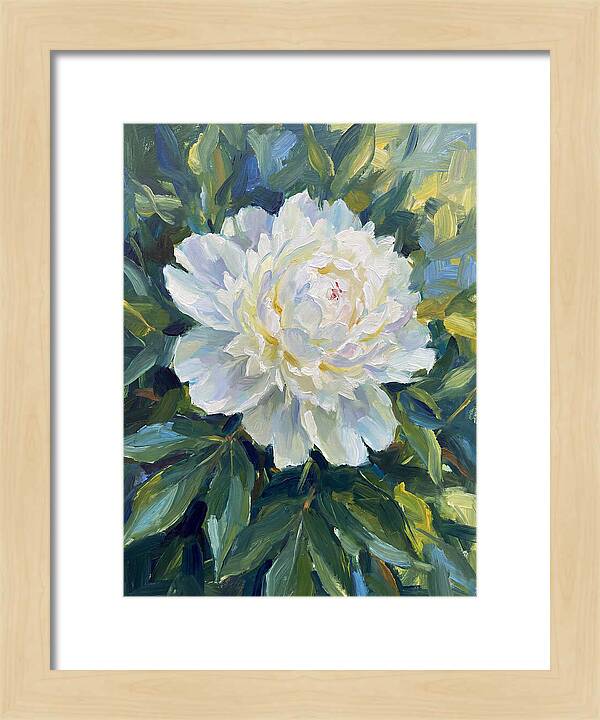 White Peony In Bloom