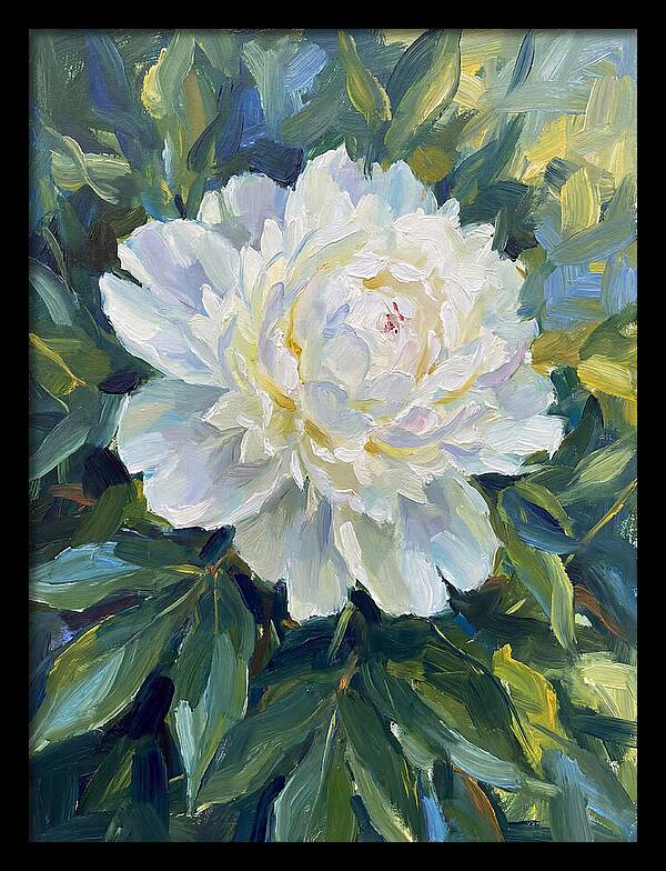 White Peony In Bloom