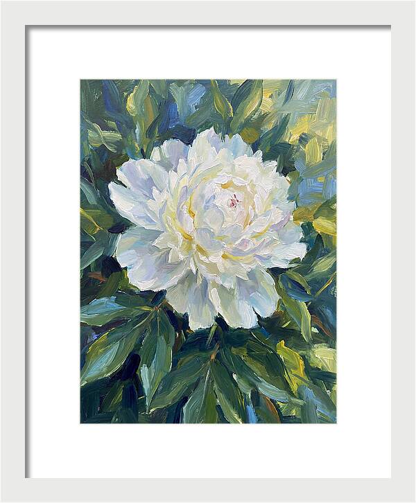White Peony In Bloom
