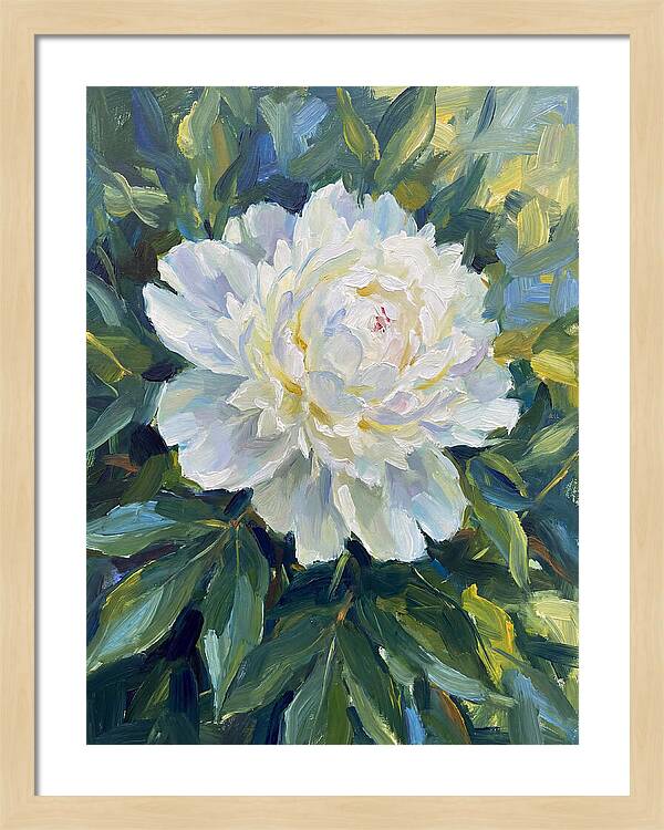 White Peony In Bloom