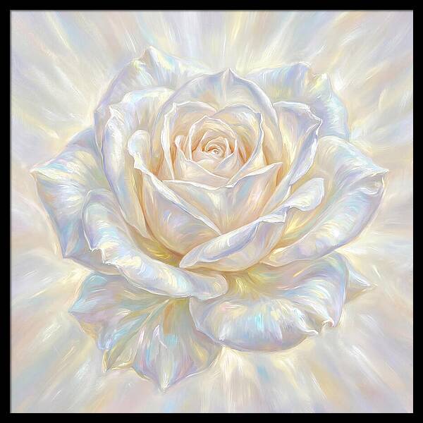 White Rose
