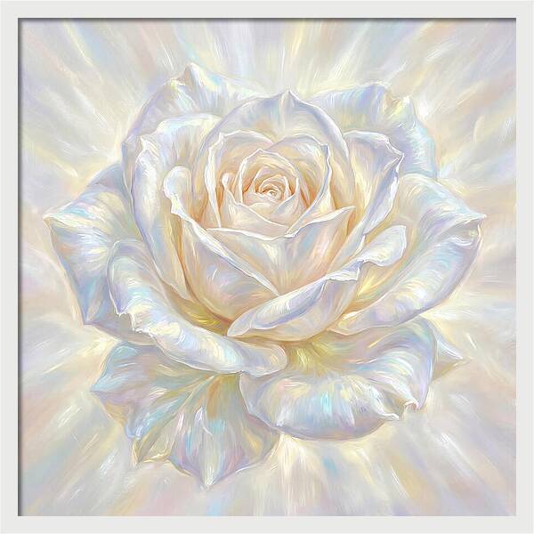 White Rose