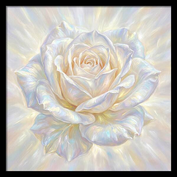 White Rose
