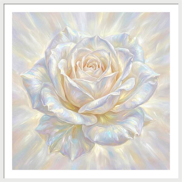 White Rose