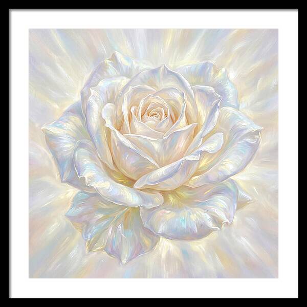 White Rose
