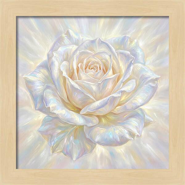 White Rose