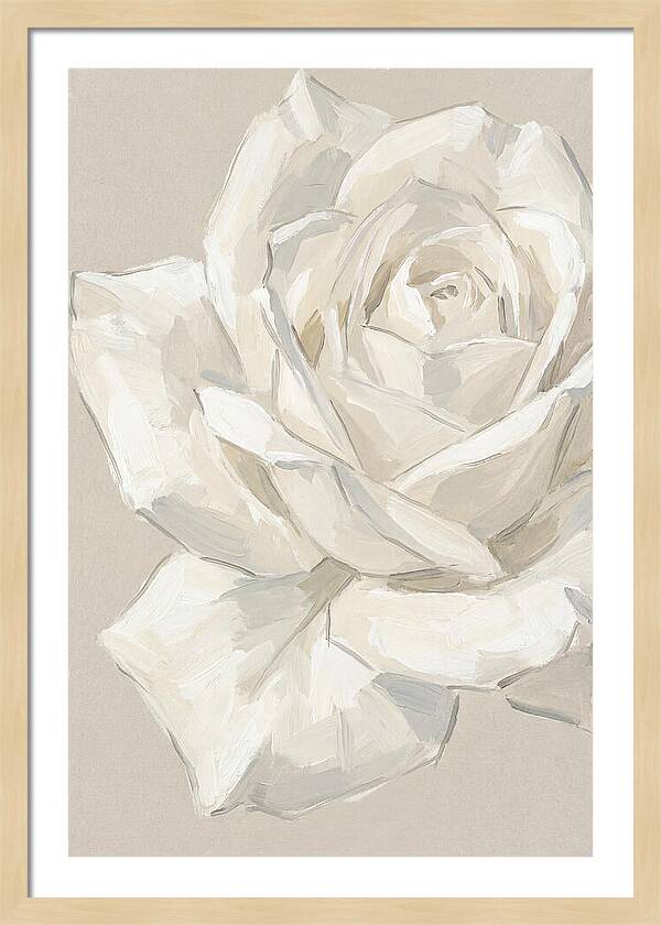 White Rose Elegance