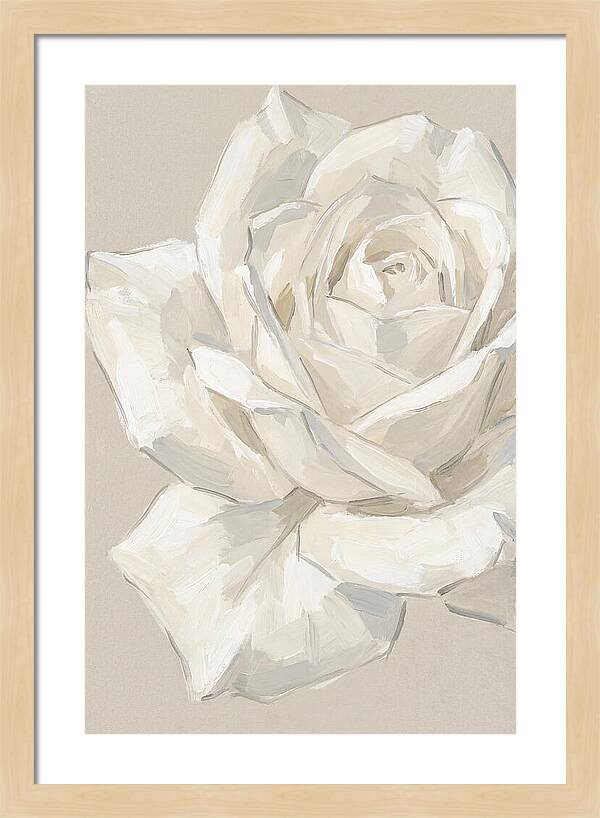 White Rose Elegance