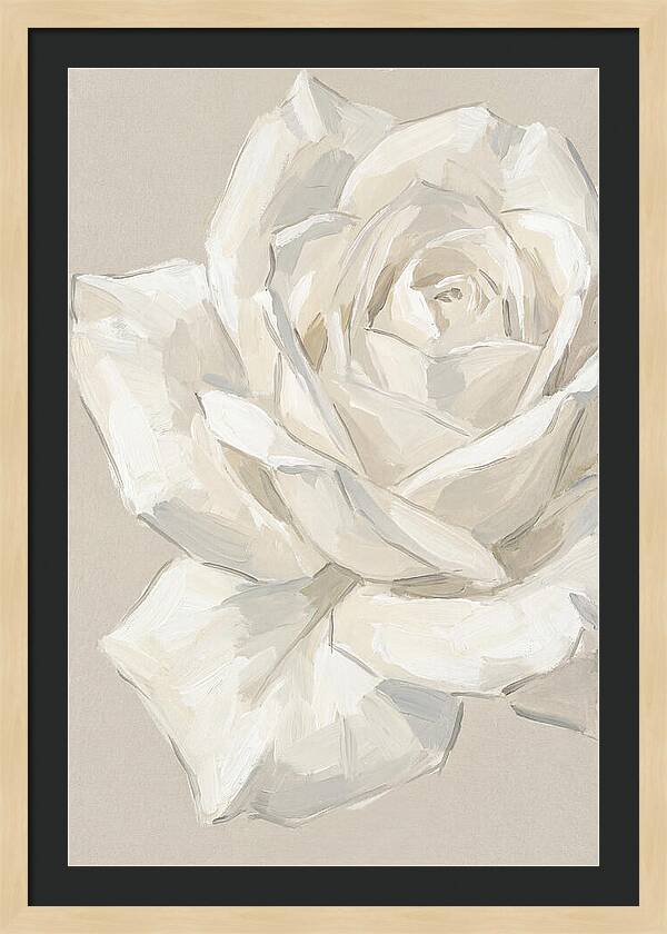 White Rose Elegance