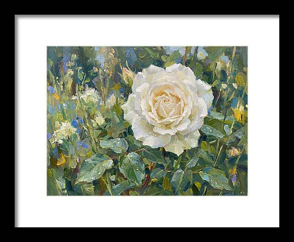White Rose In Bloom