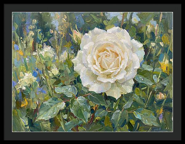White Rose In Bloom