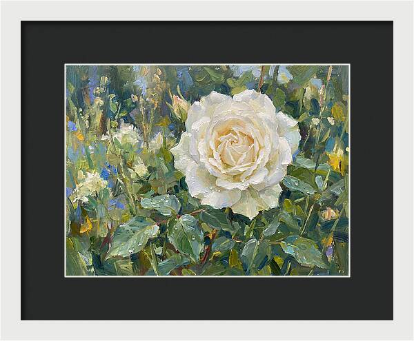 White Rose In Bloom