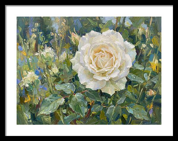 White Rose In Bloom