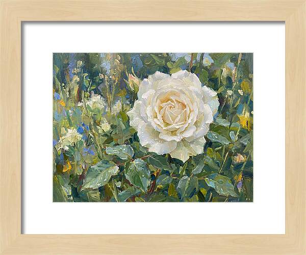 White Rose In Bloom