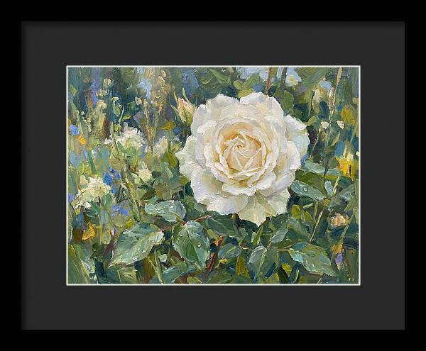 White Rose In Bloom