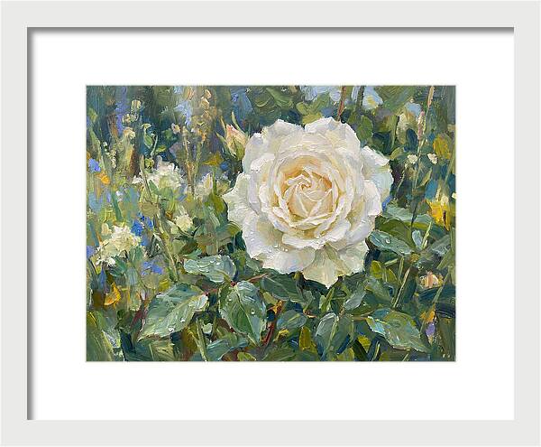 White Rose In Bloom