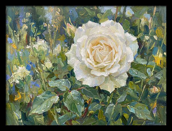 White Rose In Bloom