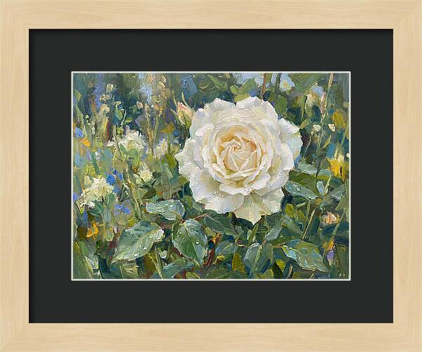 White Rose In Bloom