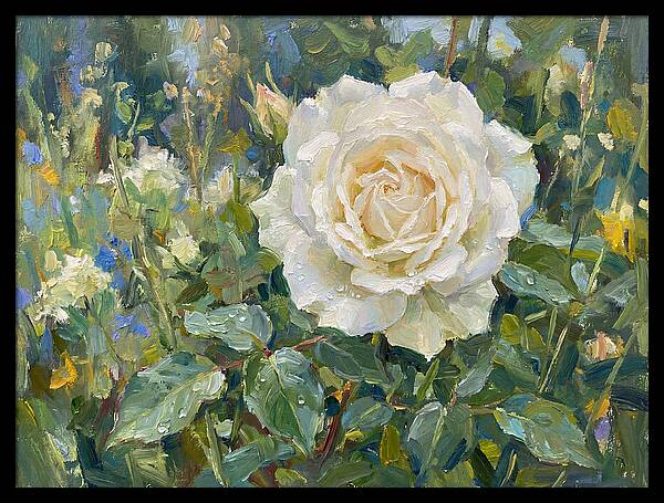 White Rose In Bloom