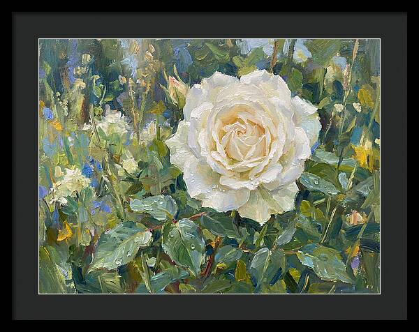 White Rose In Bloom