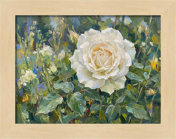 White Rose In Bloom