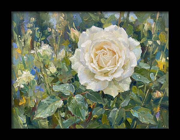 White Rose In Bloom