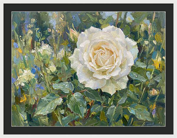 White Rose In Bloom