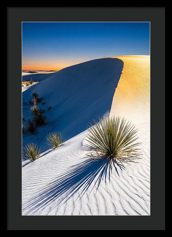 White Sands At Golden Hour