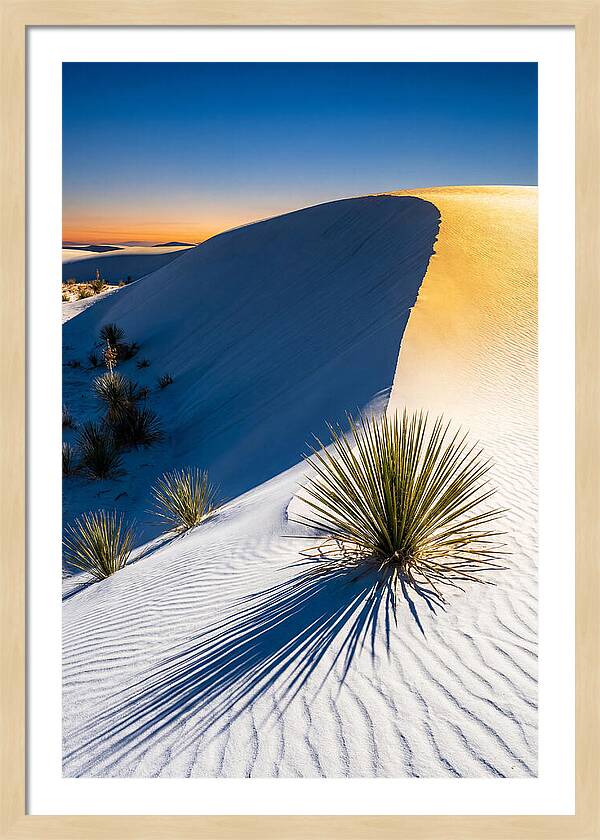White Sands At Golden Hour