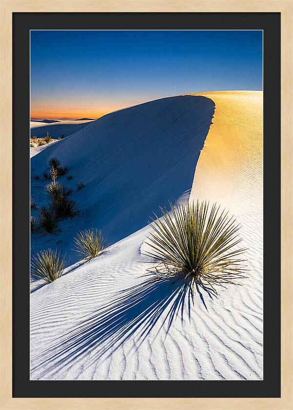 White Sands At Golden Hour