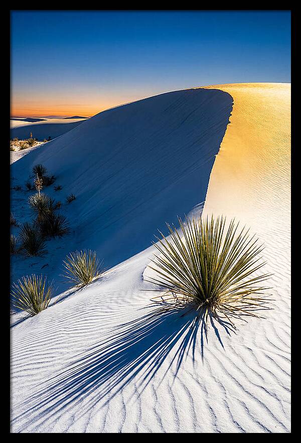 White Sands At Golden Hour