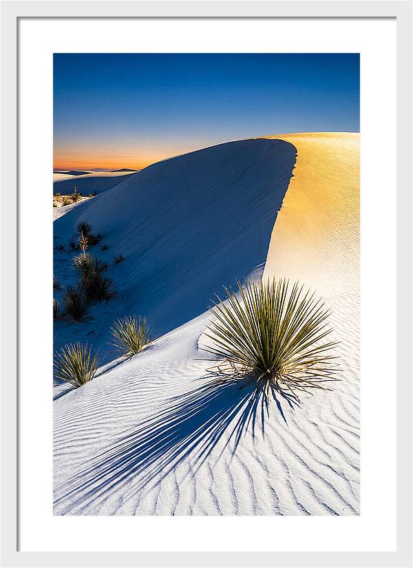 White Sands At Golden Hour