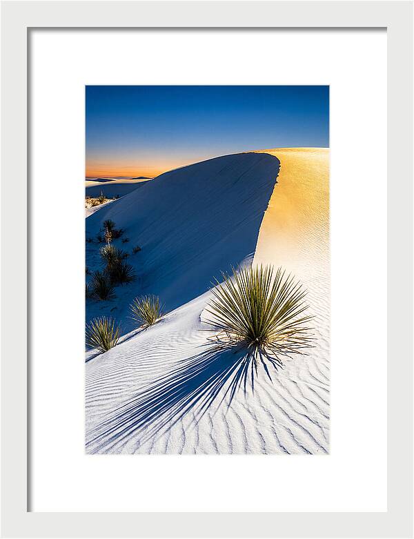 White Sands At Golden Hour