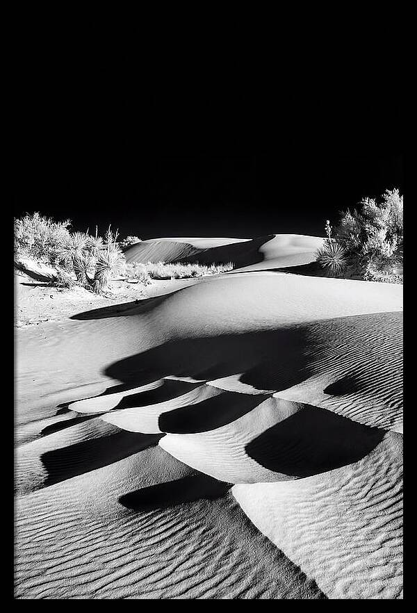White Sands At Golden Hour
