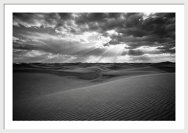 White Sands Desert Vista