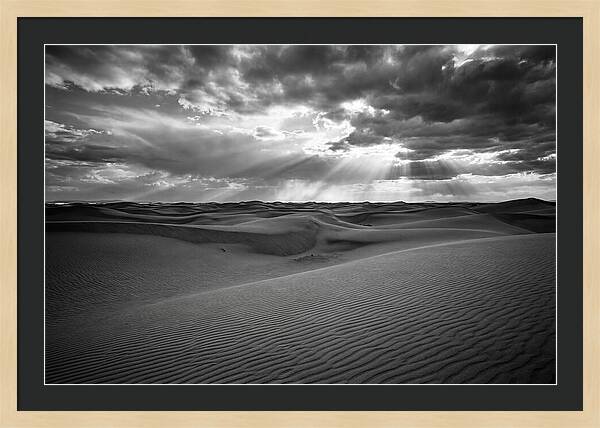 White Sands Desert Vista