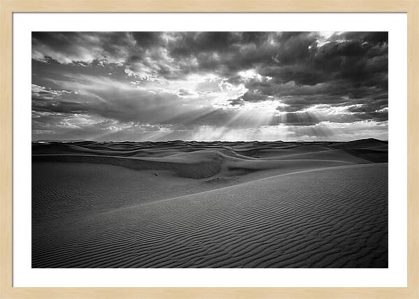 White Sands Desert Vista