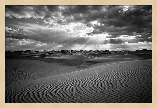 White Sands Desert Vista