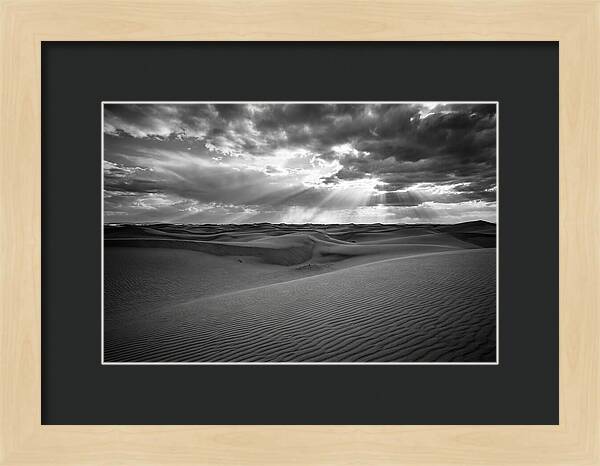 White Sands Desert Vista