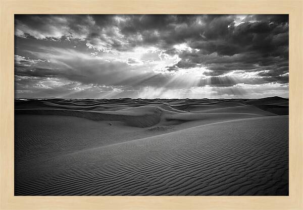 White Sands Desert Vista