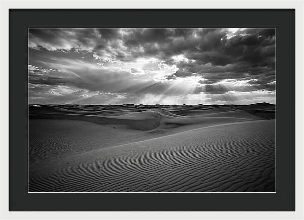White Sands Desert Vista