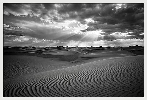 White Sands Desert Vista