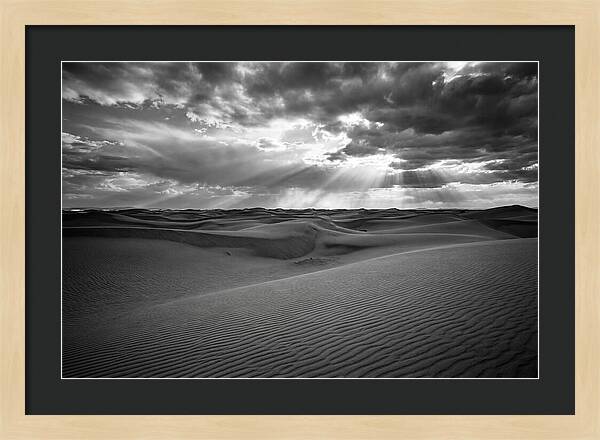 White Sands Desert Vista