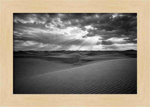 White Sands Desert Vista