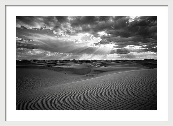 White Sands Desert Vista