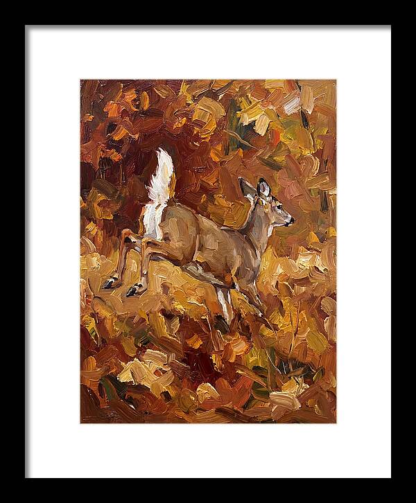 White Tailed Deer In Autumn