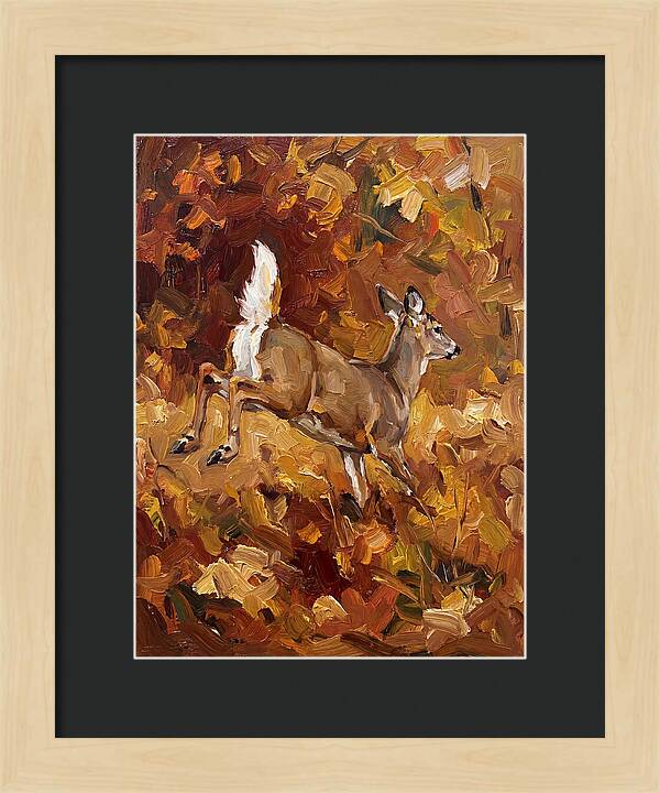 White Tailed Deer In Autumn