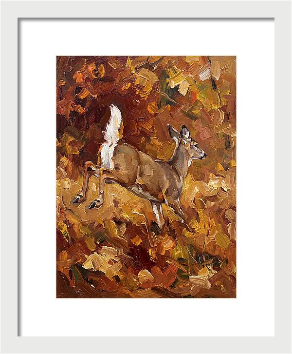 White Tailed Deer In Autumn