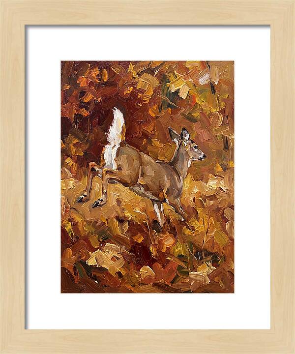 White Tailed Deer In Autumn